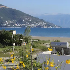 Beni Osmenaj Albania